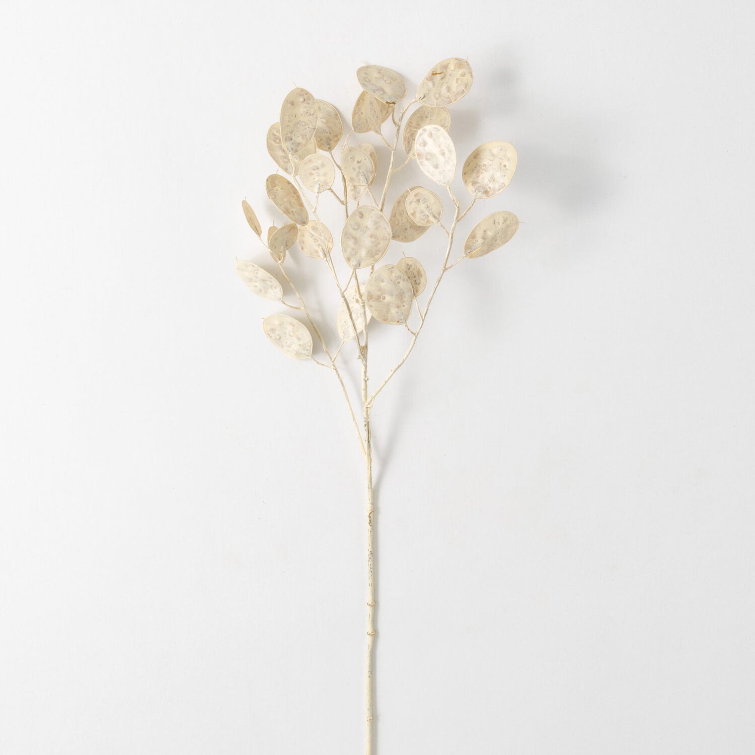 Faux Dried Cream Linaria Spray