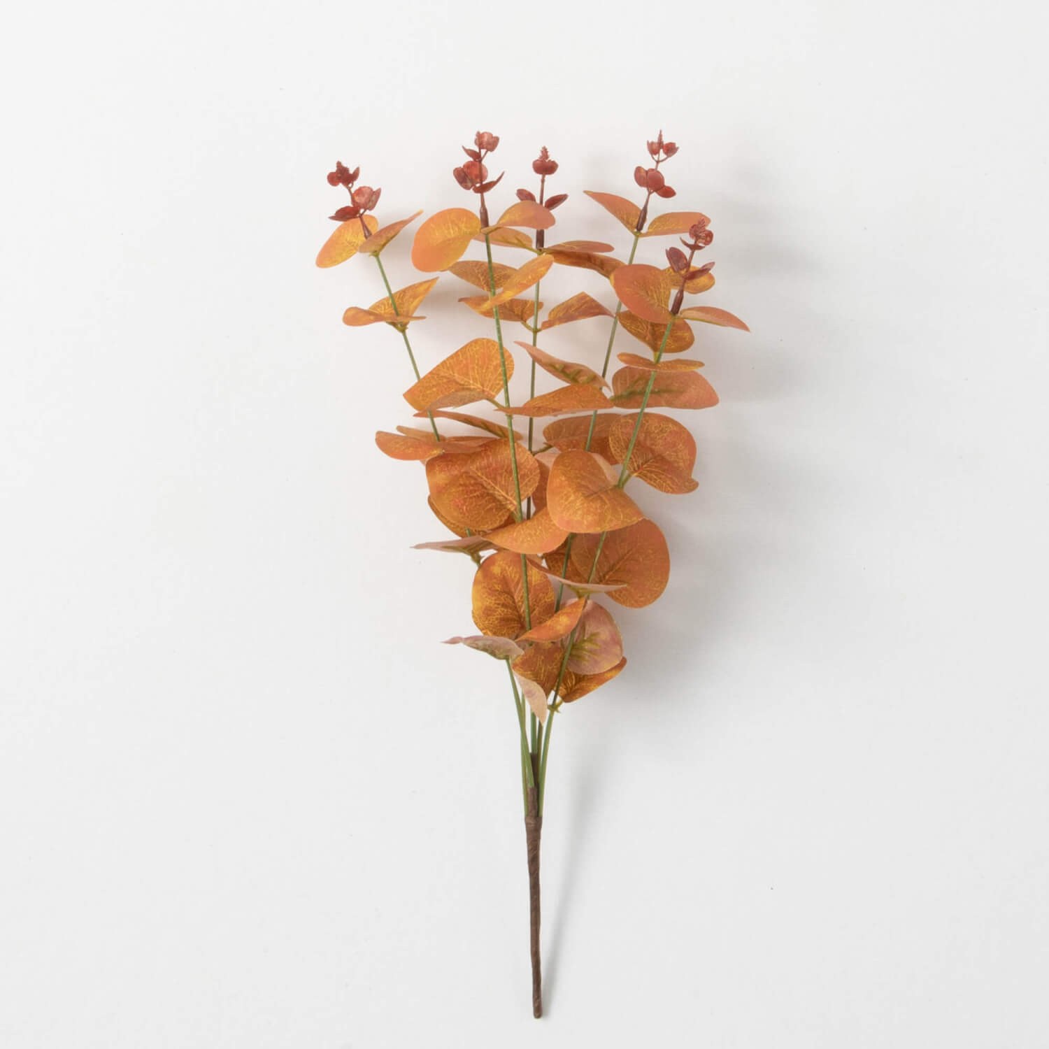 Yellow Gold Eucalyptus Pick