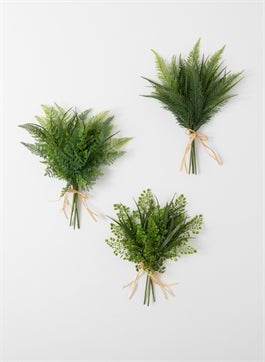 Fern Bush