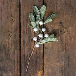 Frosted Mistletoe