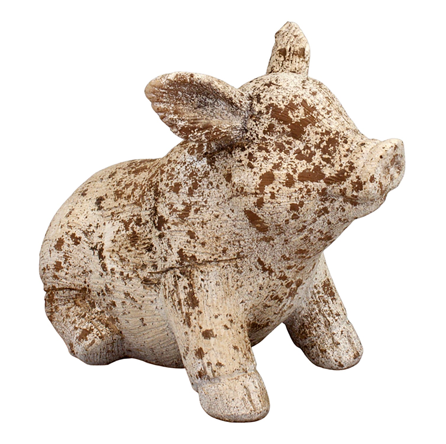 Pig