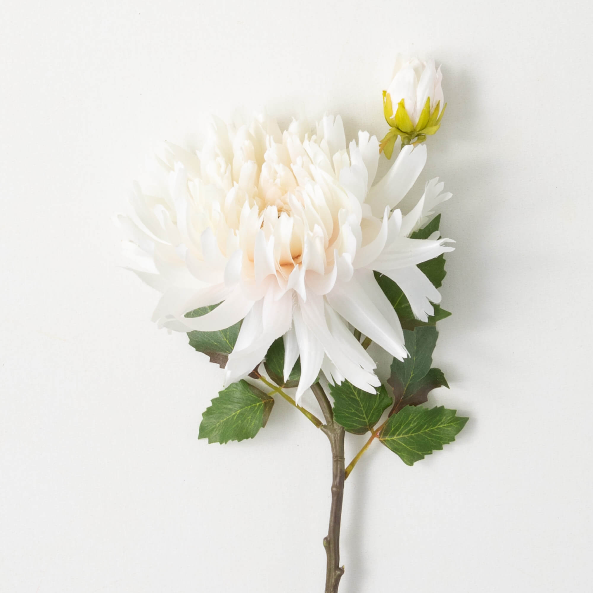 Dahlia Spray