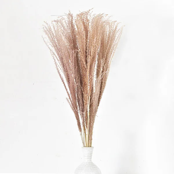 10 Piece Natural Horsetail Bundle
