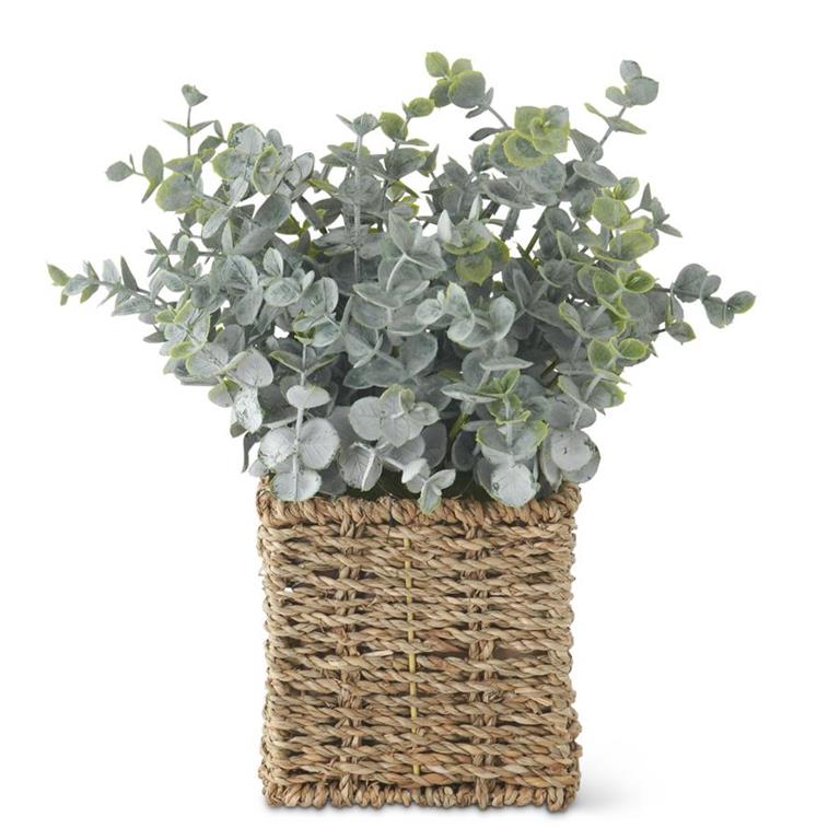 Powdered Eucalyptus