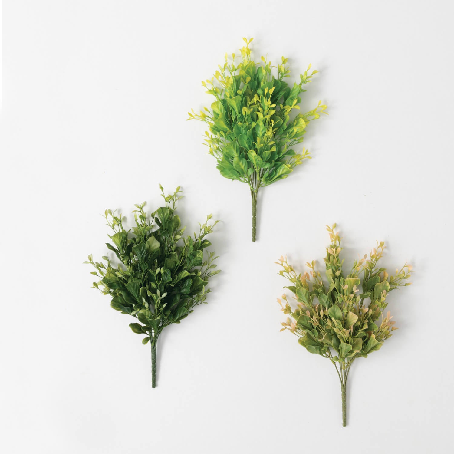 Mixed Foliage Bush