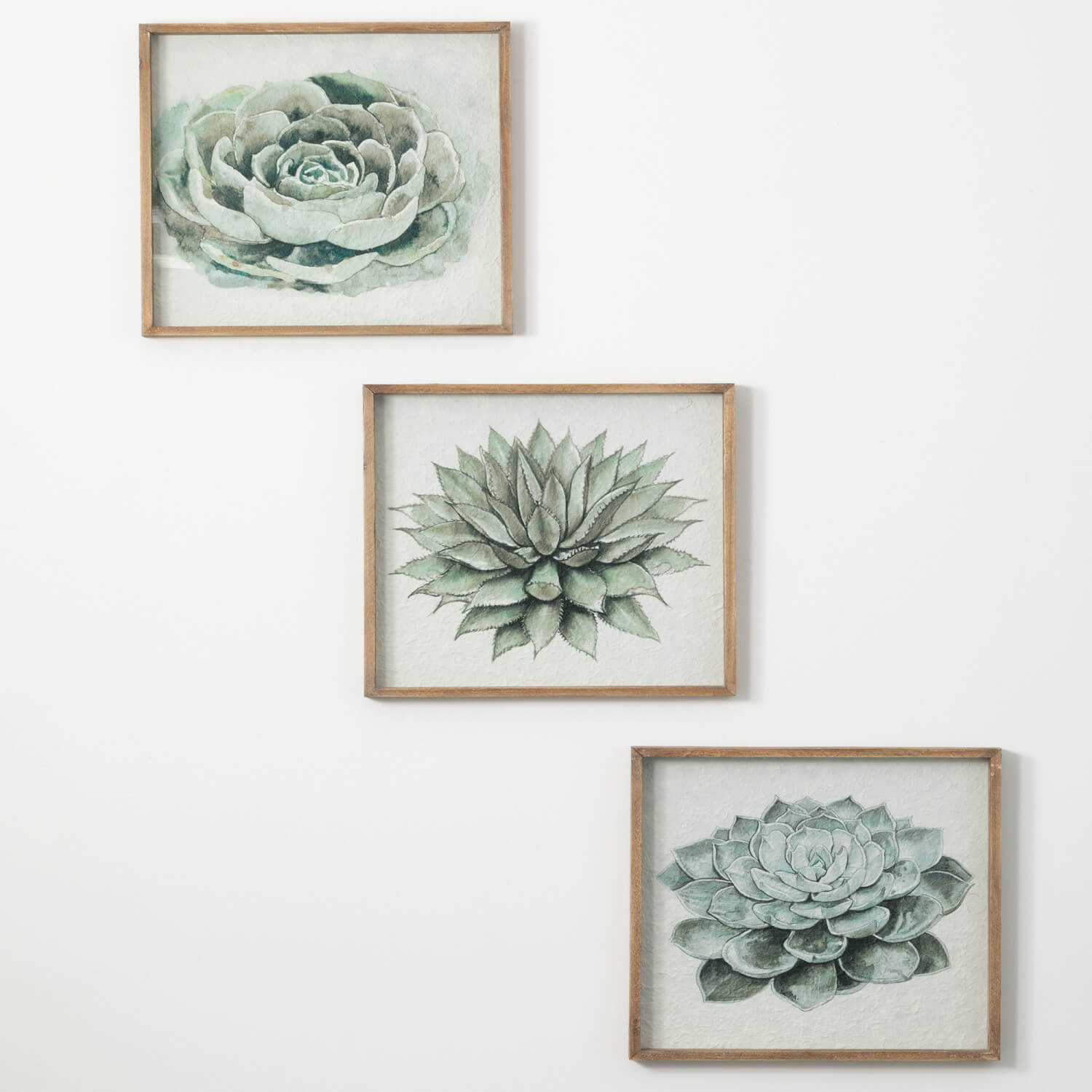 Succulent Wall Art