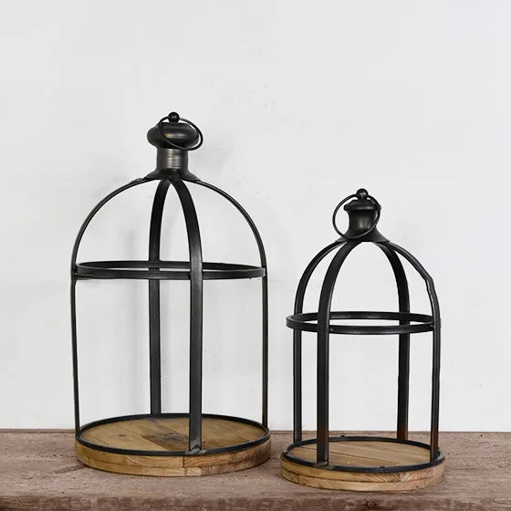 Plant Cage