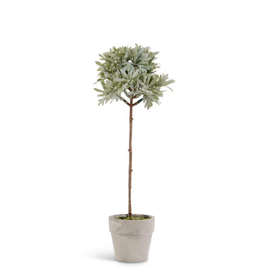 Potted Mini Herb Topiary