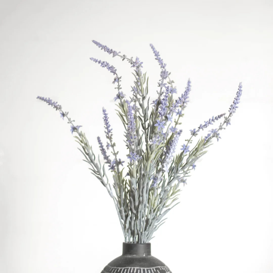 Purple Lavender Bush