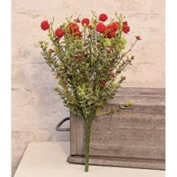 Red Bliss Bush