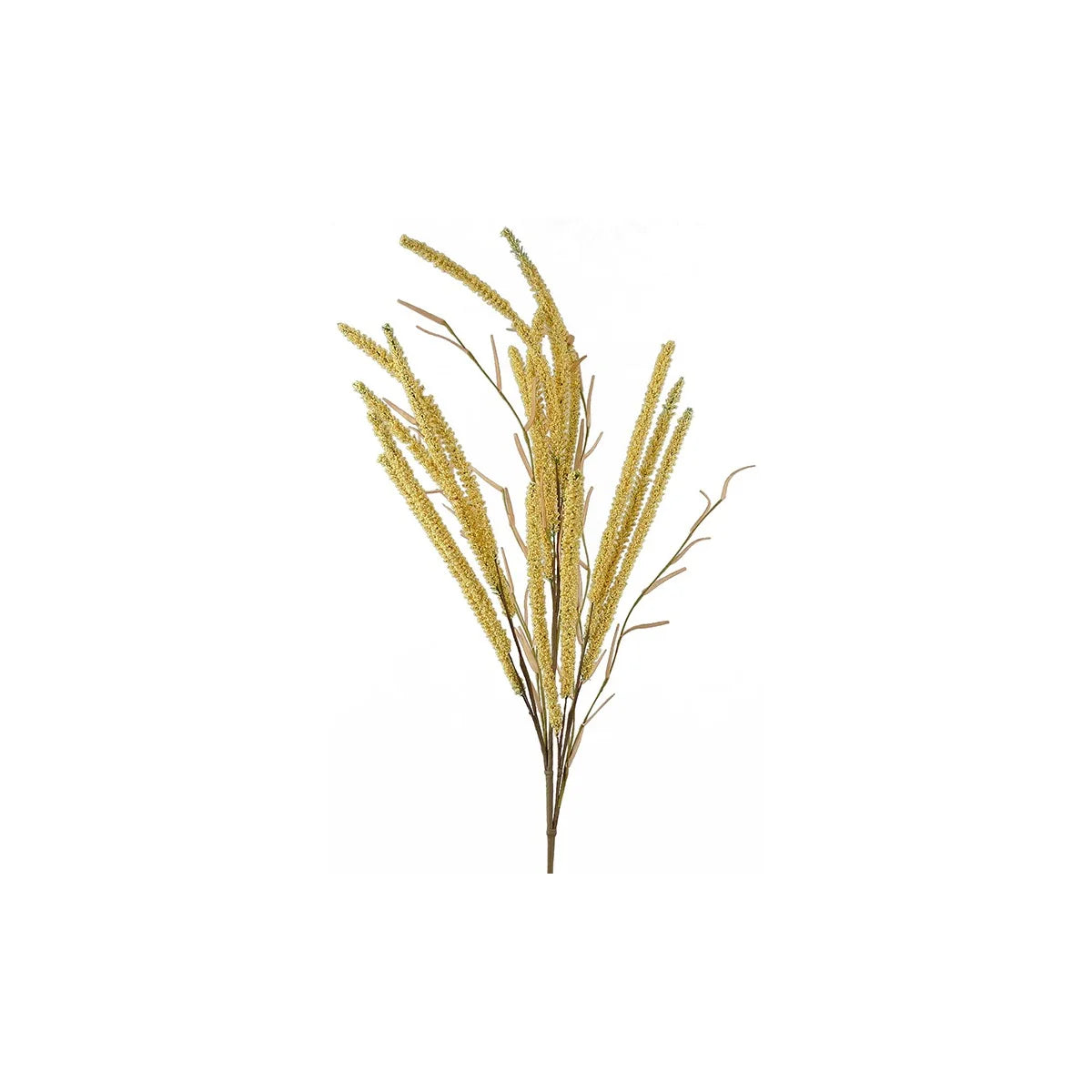 Setaria Spray Beige