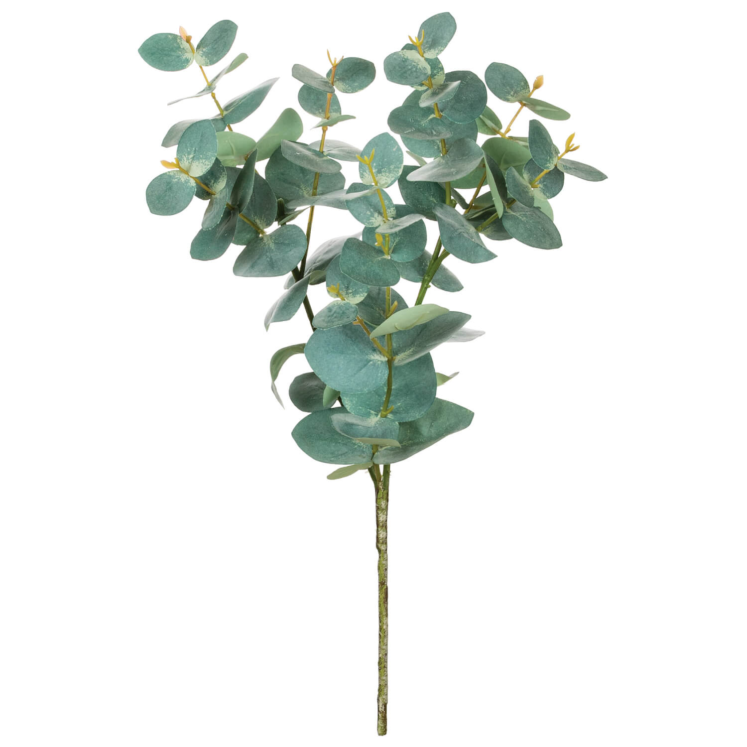 Tall Eucalyptus Spray