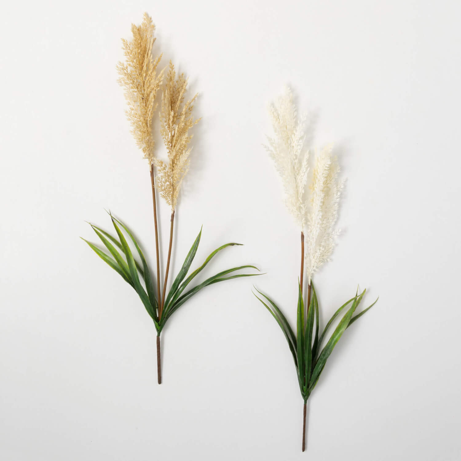 Wheat Grassy Bush