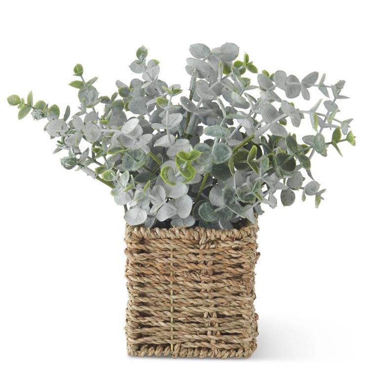 Powdered Eucalyptus