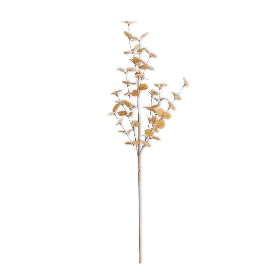 Yellow Eucalyptus Stem
