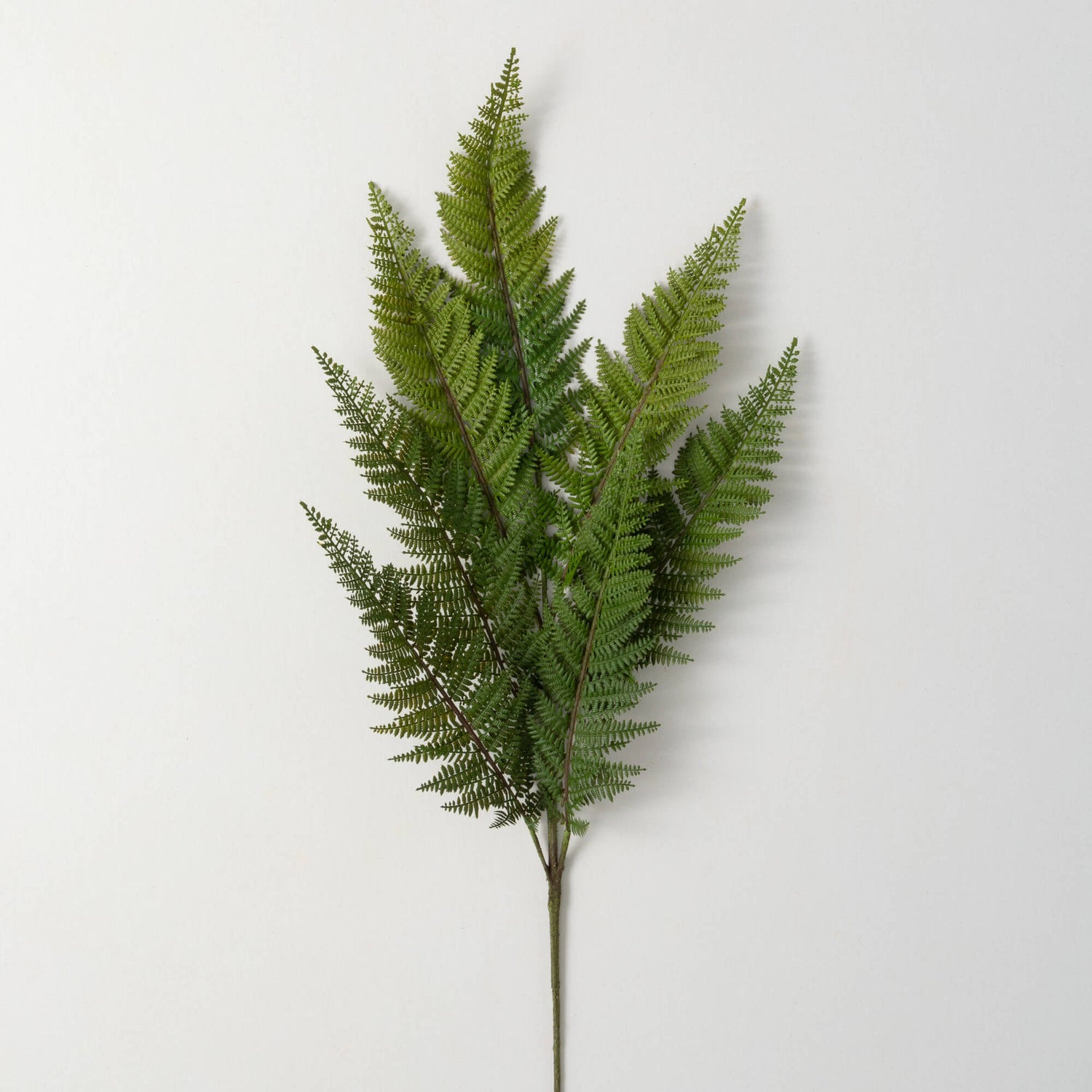 Fern Spray