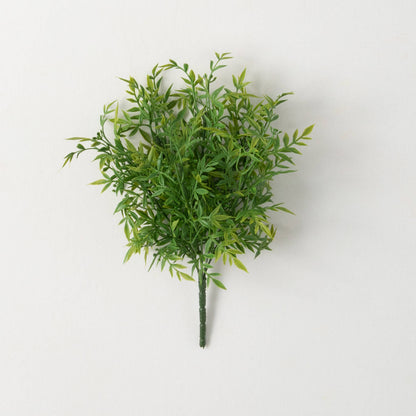 Ruscus Bush