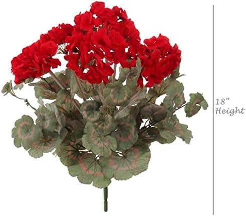 Red Geranium Flower Bush