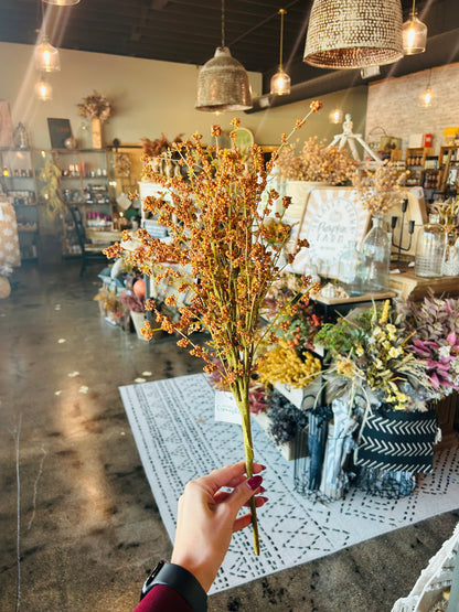 Hairy Pinweed Pick