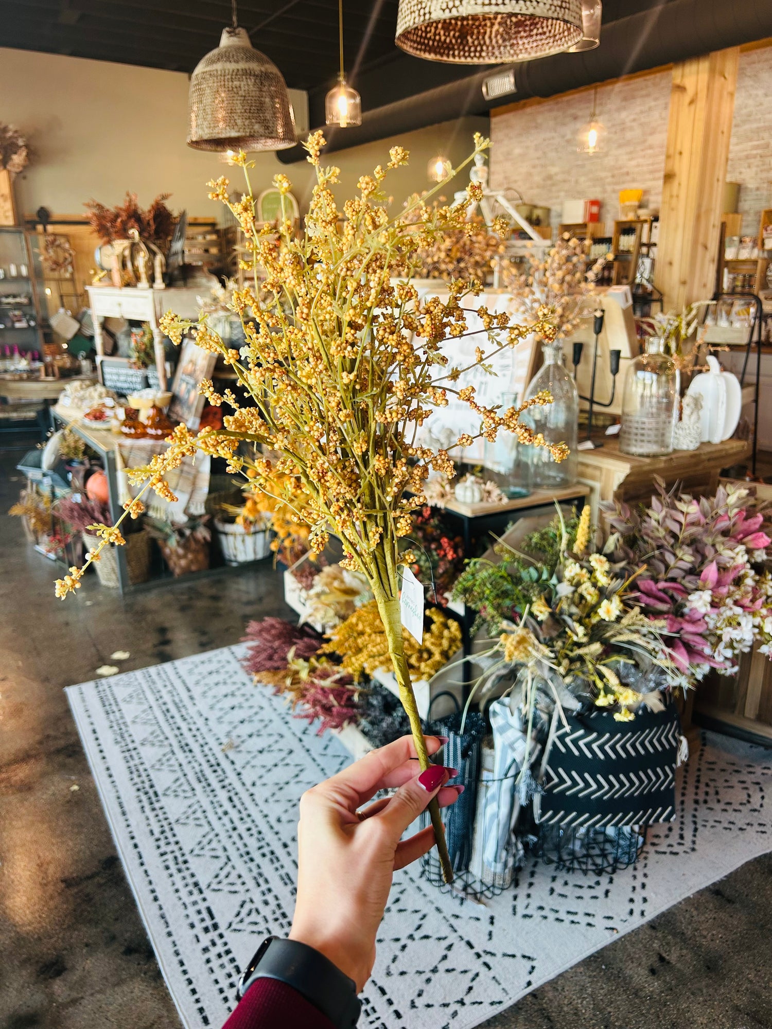 Hairy Pinweed Pick