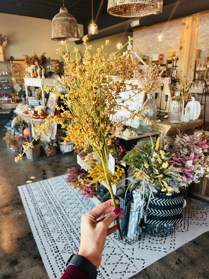 Hairy Pinweed Pick