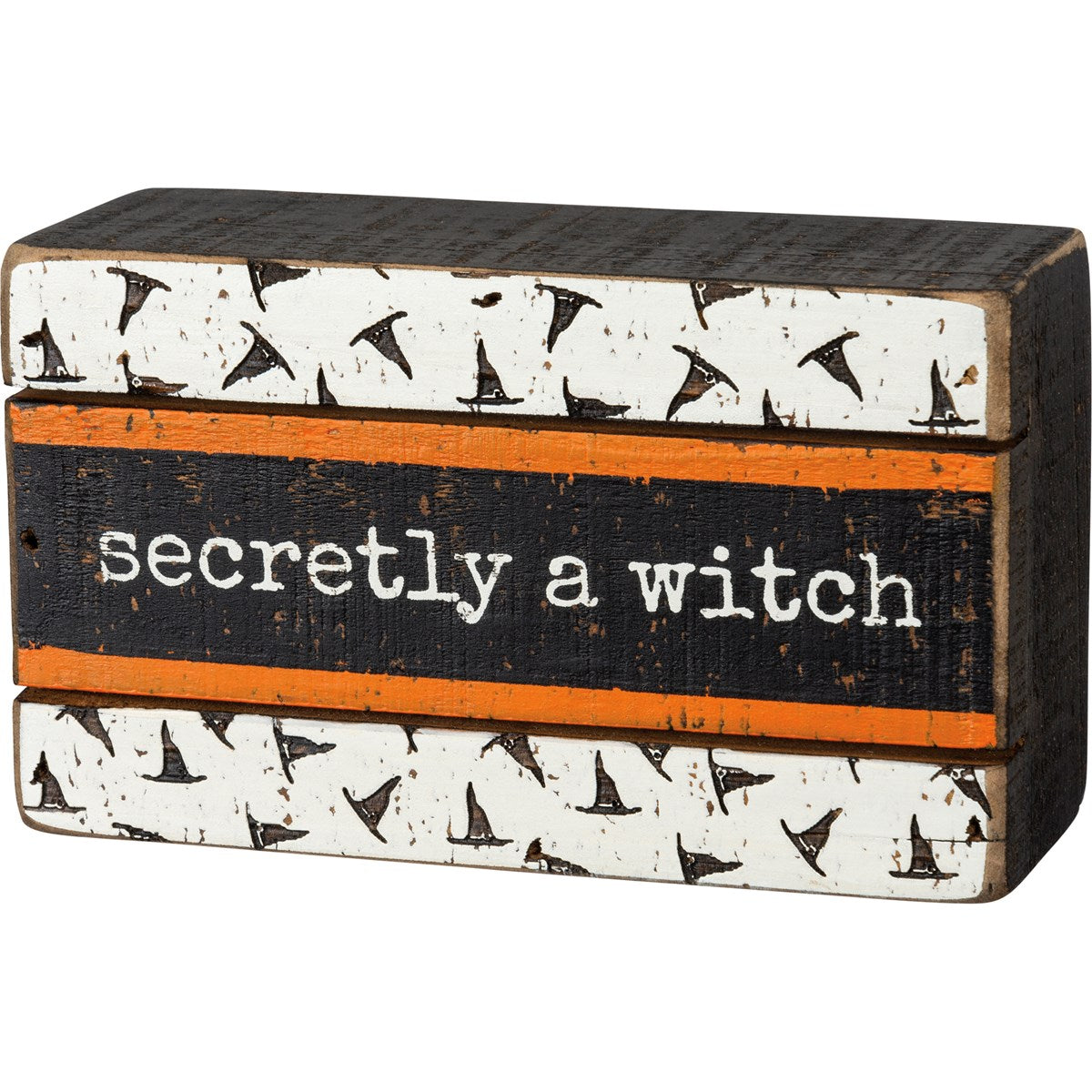 Secretly a Witch