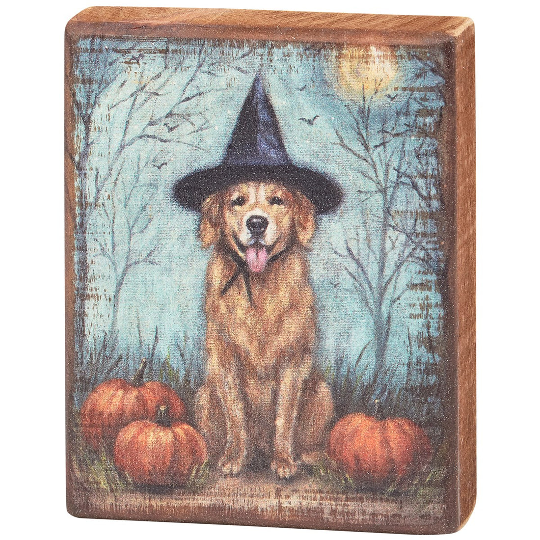 Witch Dog