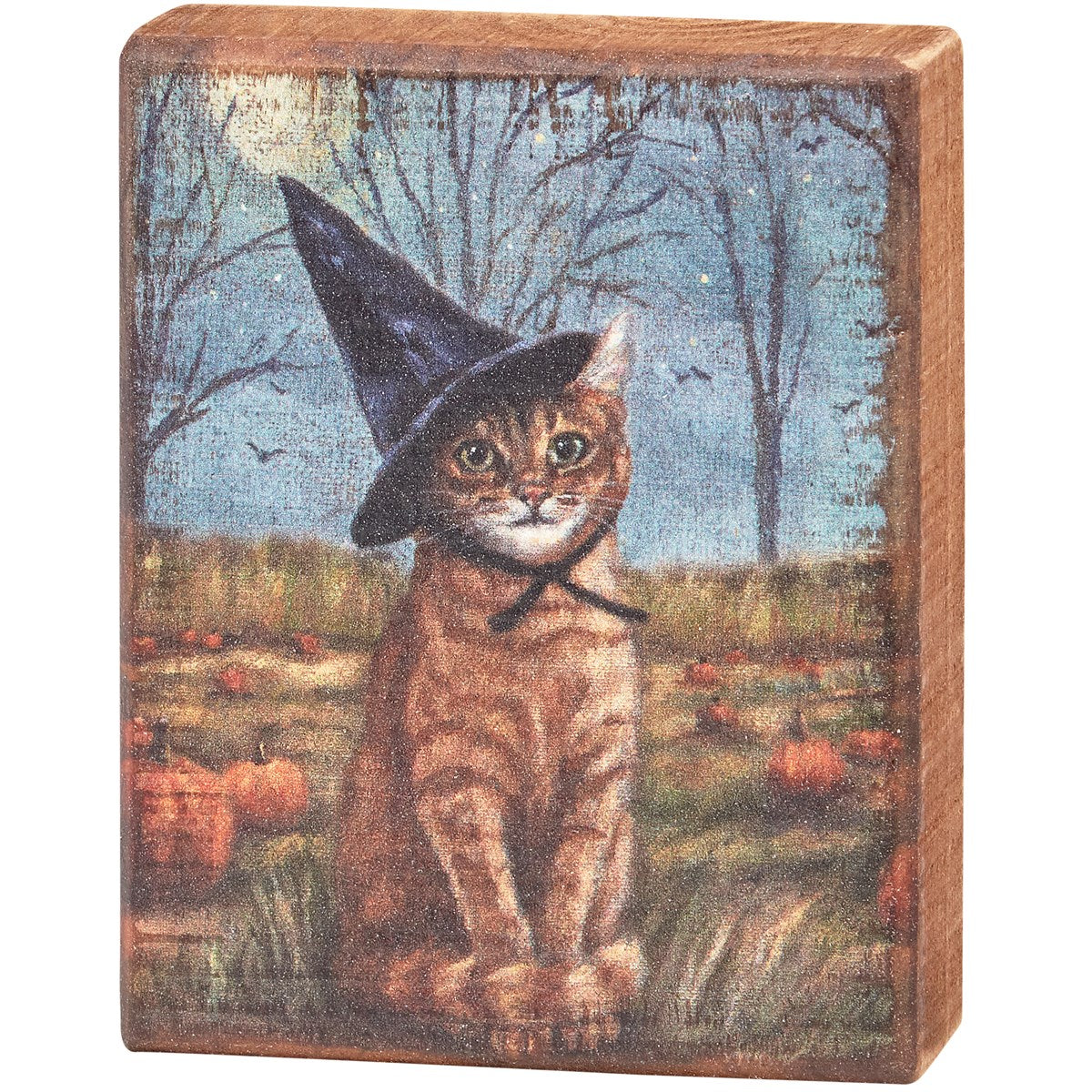 Witch Cat