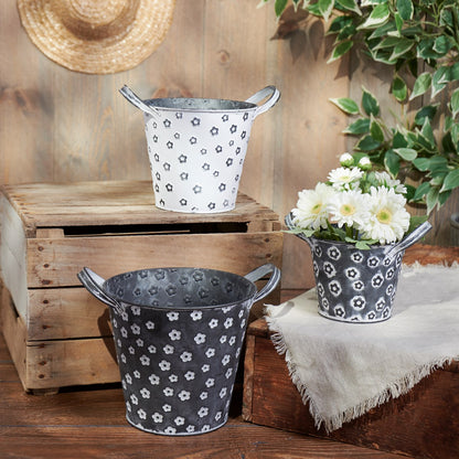 Daisy Bucket