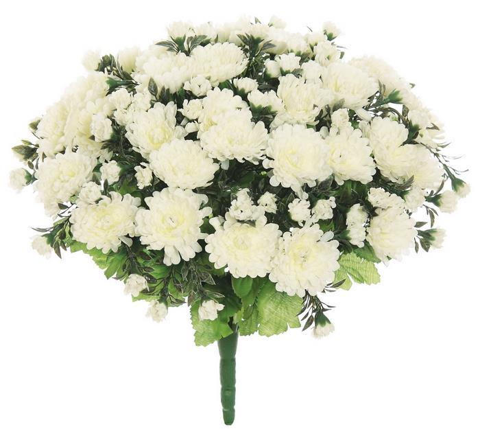 UV Resistant Mum Bush
