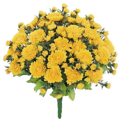 UV Resistant Mum Bush