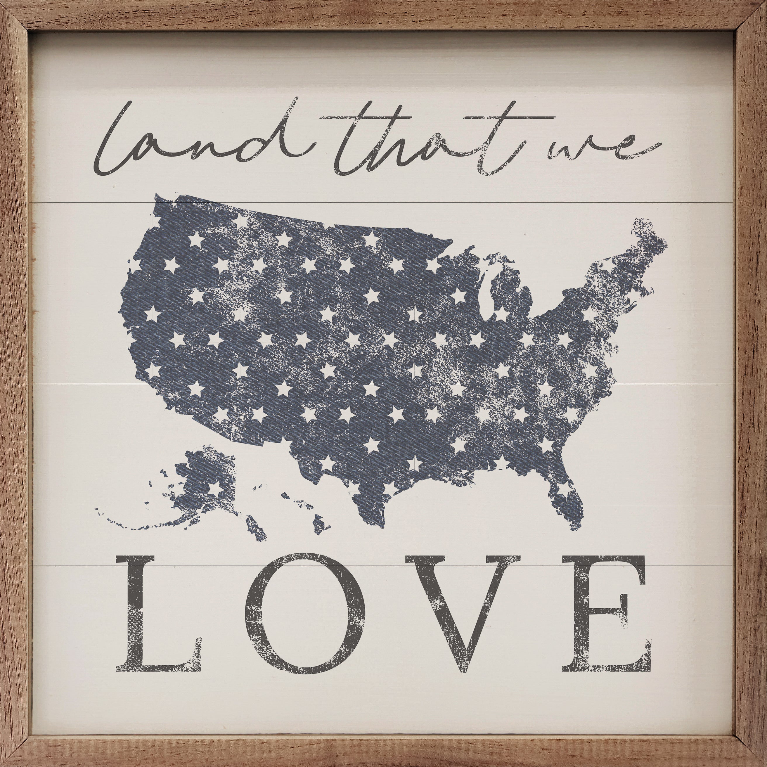 Land That We Love America White