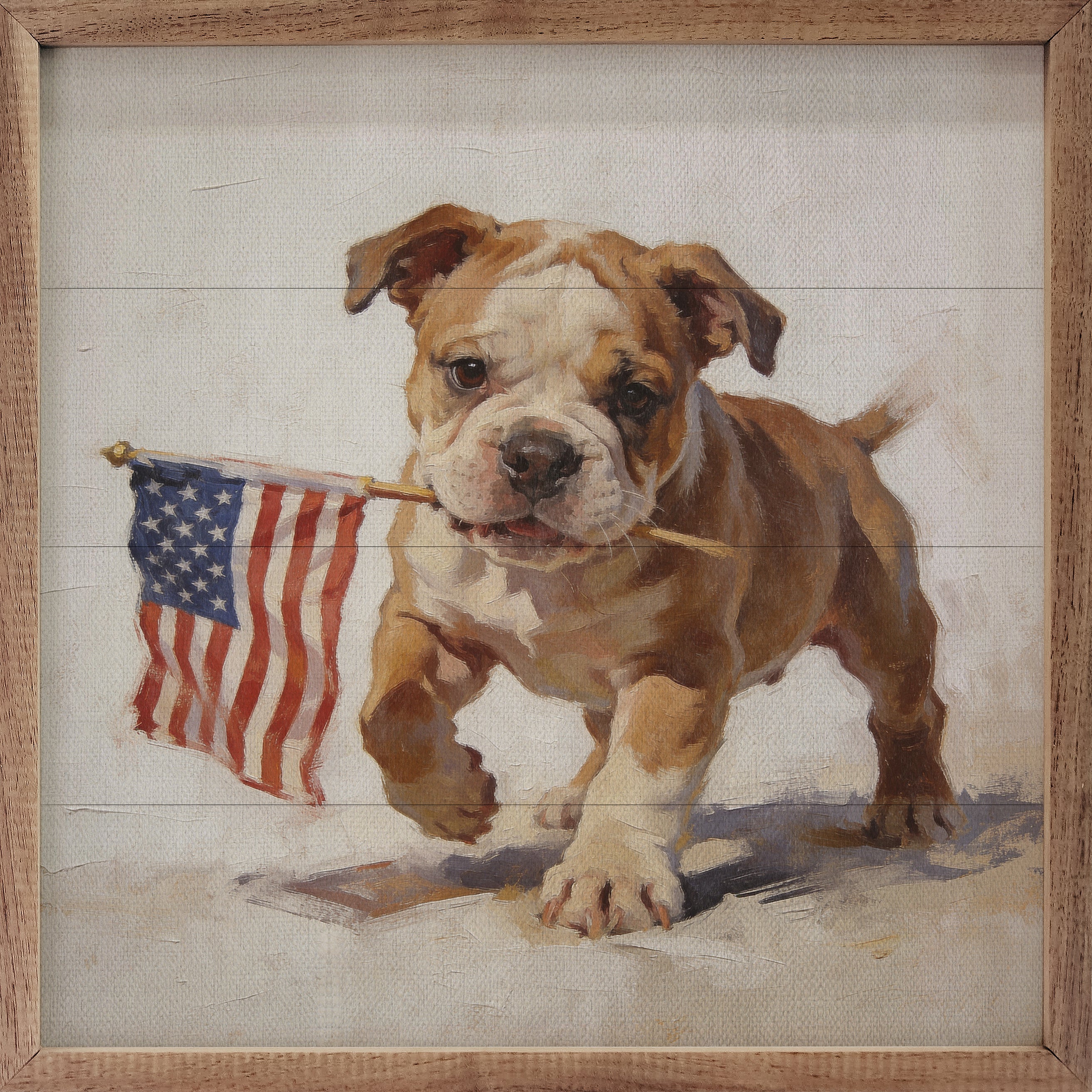 Patriotic Pets English Bulldog