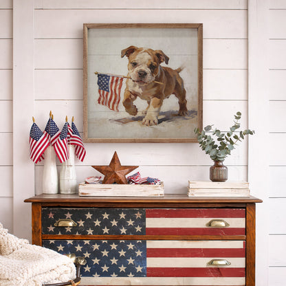 Patriotic Pets English Bulldog