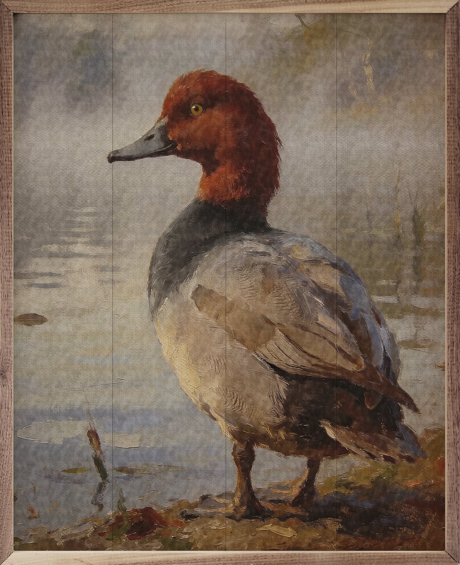 Redhead Duck