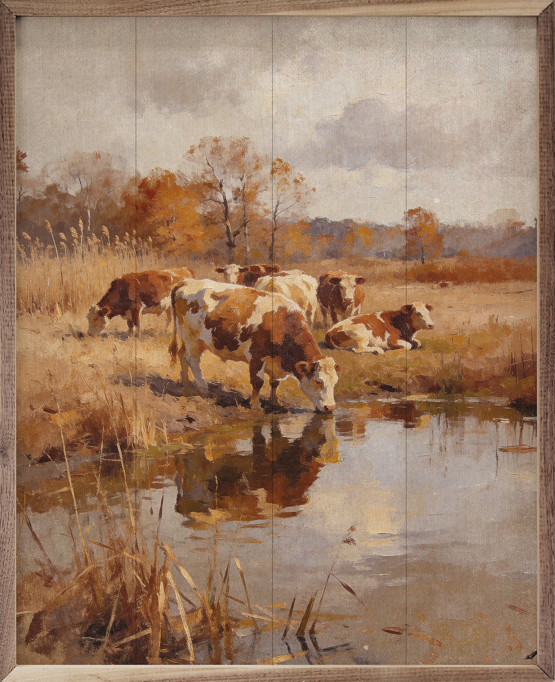 Simmental Cattle In Autumn