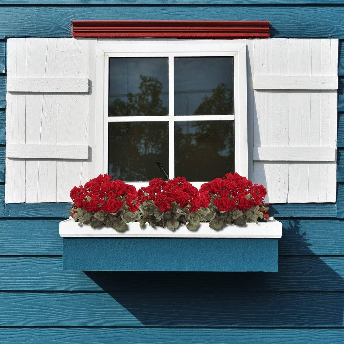 Red Geranium Flower Bush