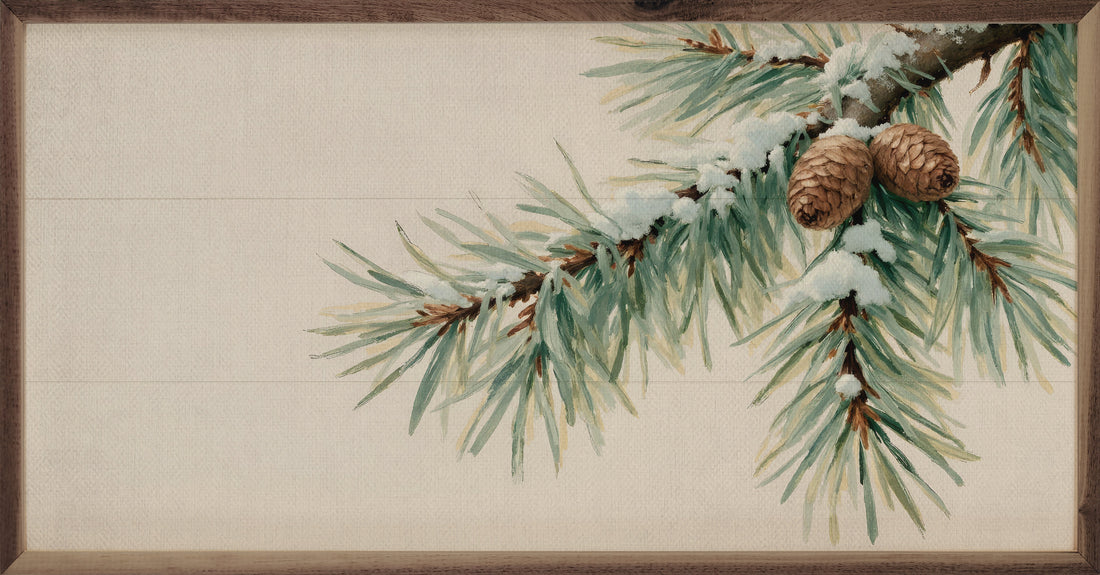 Pine Branch With Snow Horizontal