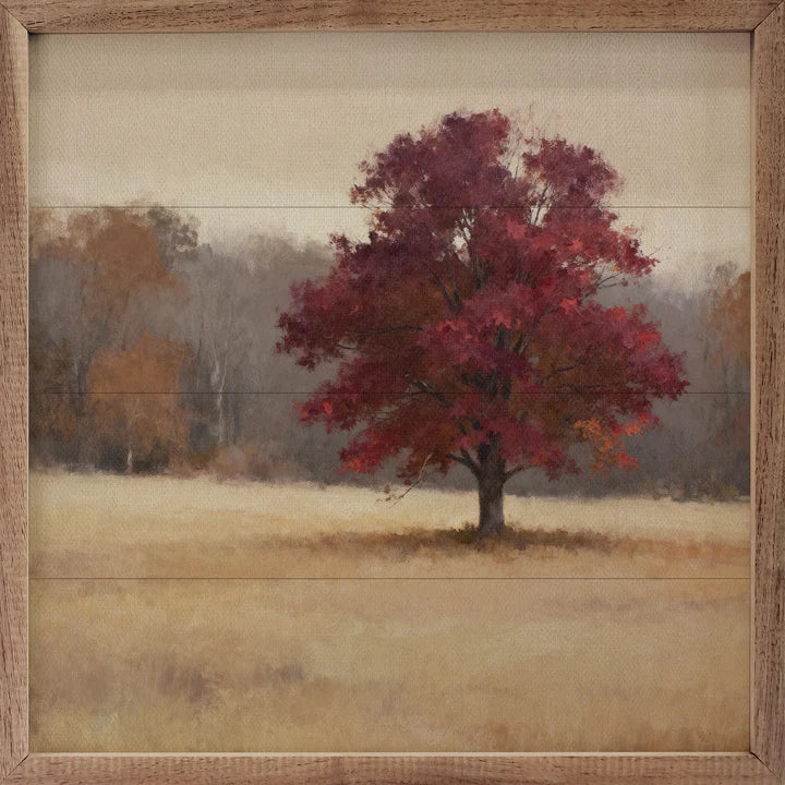 Blaze Maple