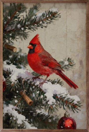 Cardinal Snowy Branch