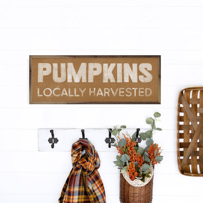 Pumpkins Locally Harvested Orange