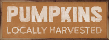 Pumpkins Locally Harvested