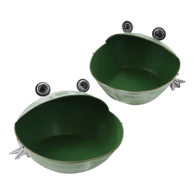 Frog Planter