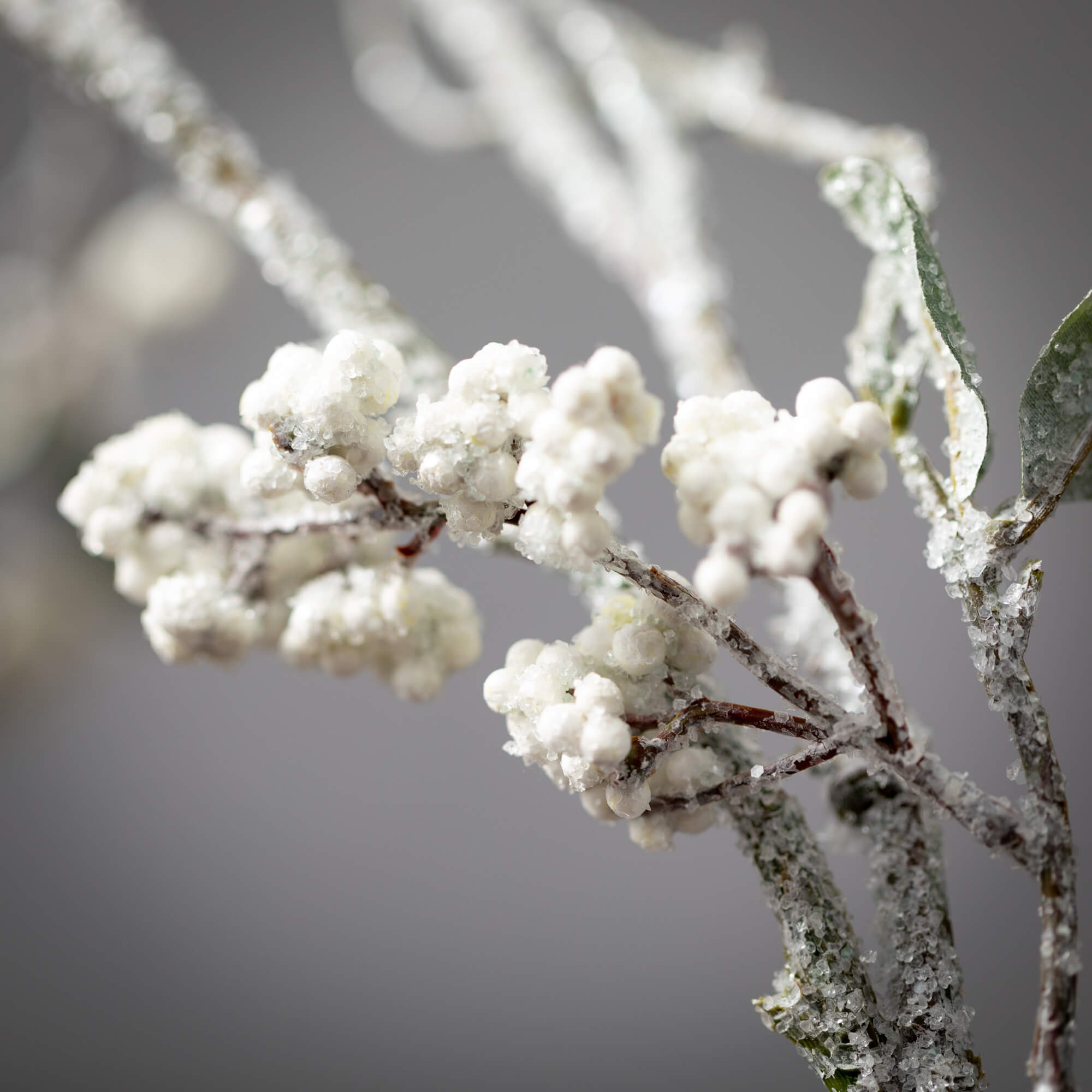 Snowy Berry Spray