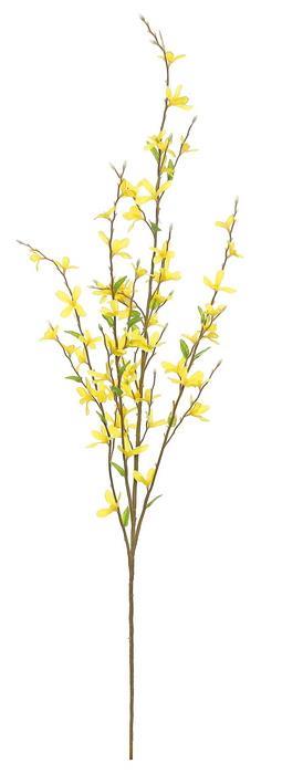Forsythia Spray