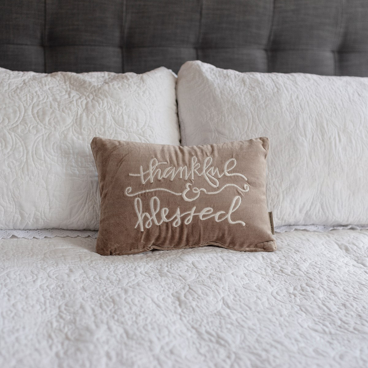 Thankful &amp; Blessed Pillow