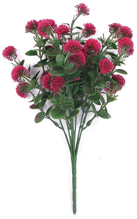 Mini Pom Bush