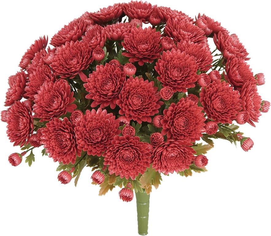 UV Resistant Mum Bush