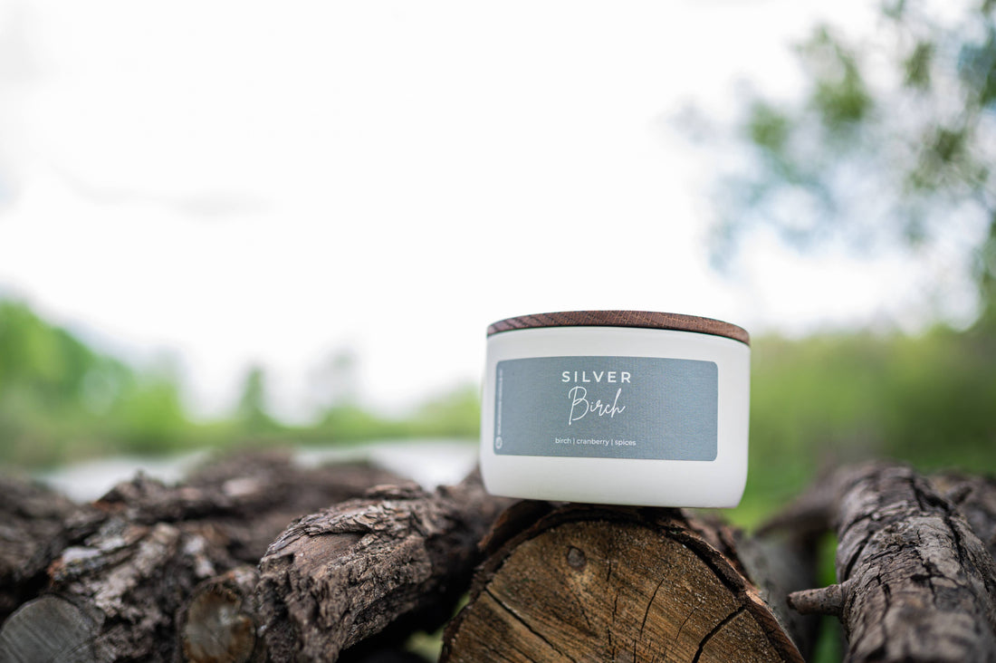 Silver Birch | 10 oz Statement Candle