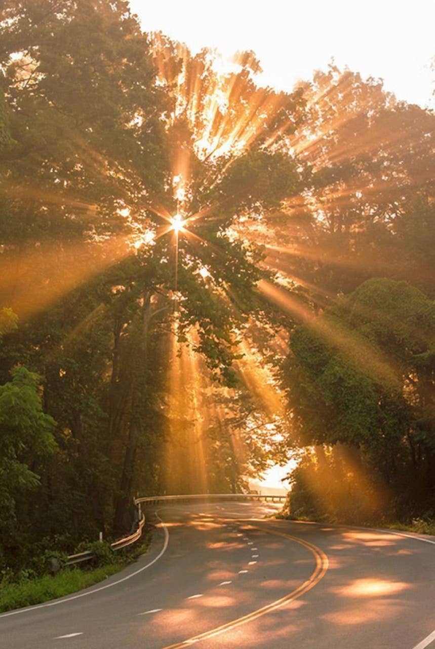 Summer Sunset Travel Tin  